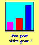 net publicity, publicidad web,Spanish web promotion